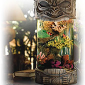 Aloha Tiki Aquarium