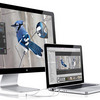 Apple 24-inch LED Cinema Display