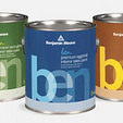 Ben Paint