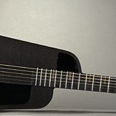 Blackbird Rider Guitar