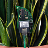 Botanicalls