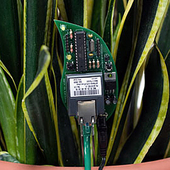 Botanicalls