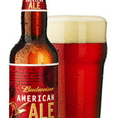 Budweiser American Ale