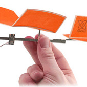 Butterfly R/C Plane