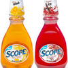 Citrus Splash & Cinnamon Ice Scope
