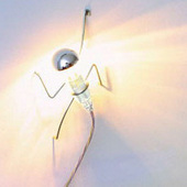 Climbing Light