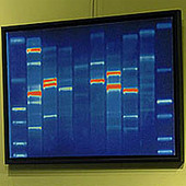 DNA Art