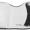 Dracula Car Sun Shade