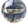 EcoSphere