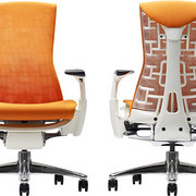 Herman Miller Embody Chair