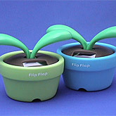Flip Flap