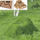 Grass Armchair