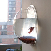 Hanging Fish Pod