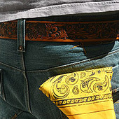 Honeycomber Belt
