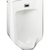 Kohler Home Urinals