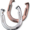 L.L. Bean Horseshoe Set
