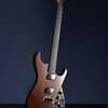 Moog Guitar