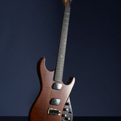 Moog Guitar