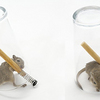 Mouse in a Pint