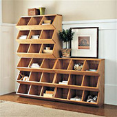 Multi-bin Organizer