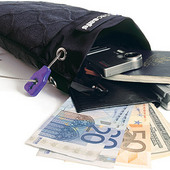 TravelSafe