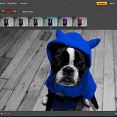 Adobe Photoshop Express