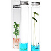 Plantarium Single Vial Garden Lab