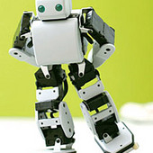 Akazawa PLEN Robot