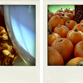 Poladroid