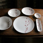 Red Berry Dinnerware