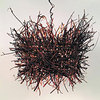 Roost Penadant Lamp
