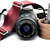 Seat Belt Camera Straps