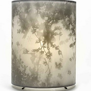 2nd Shadow Lamp