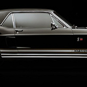 Shelby Black Hornet