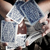 Split Spade Cards