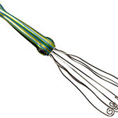Squid Whisk