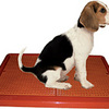 UGODOG Indoor Dog Potty
