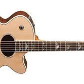Washburn Baby Jumbo Guitar