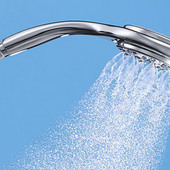 Kohler Flipside Showerhead