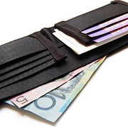Seat Belt Wallet
