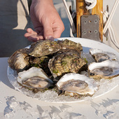 Island Creek Oysters