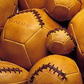 Lineaus Medicine Balls