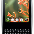 Palm Pixi