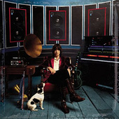 Phrazes for the Young by Julian Casablancas
