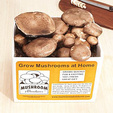 Portobello Mushroom Growing Kit
