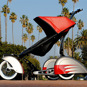 The Roddler