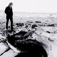 The White Stripes: Under Great White Northern Lights