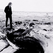 The White Stripes: Under Great White Northern Lights