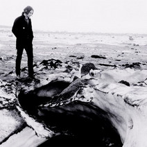 The White Stripes: Under Great White Northern Lights