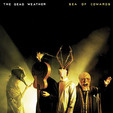 Sea of Cowards by The Dead Weather
